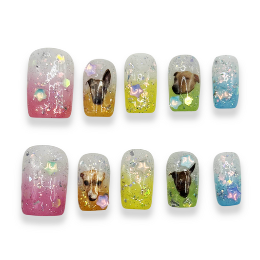Prism Paws